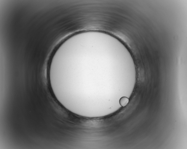 X0000088051078200706081625