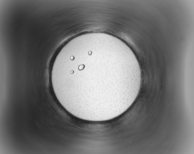 X0000088051079200706081624