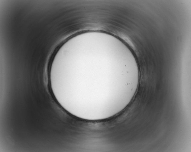 X0000088051080200706081624