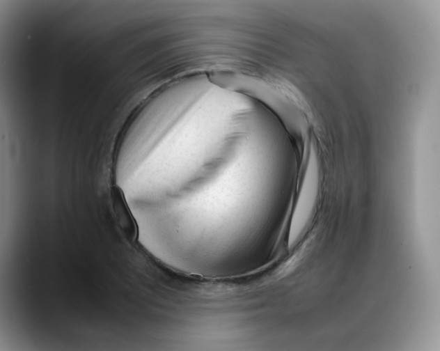 X0000088051081200706081624