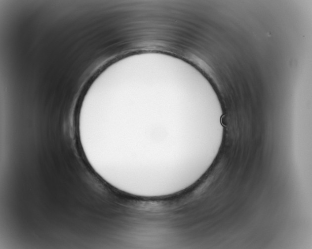 X0000088051082200706081624