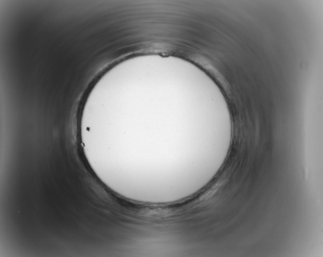 X0000088051083200706081624