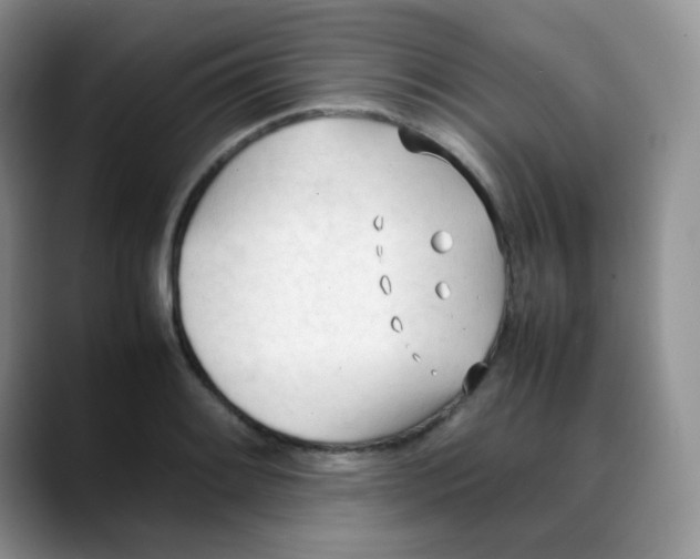 X0000088051084200706081624