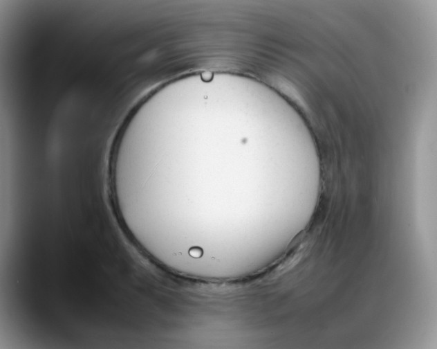 X0000088051087200706081624
