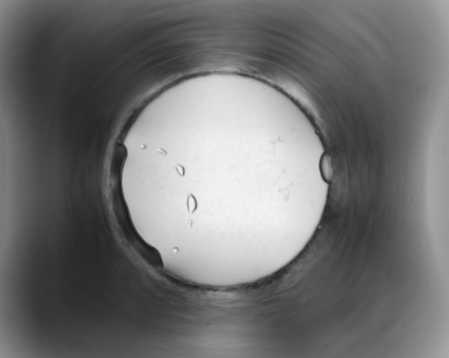 X0000088051088200706081624