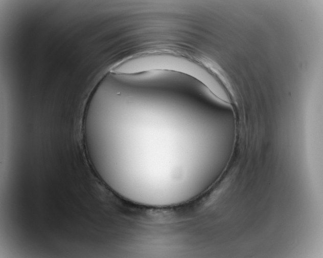 X0000088051089200706081624