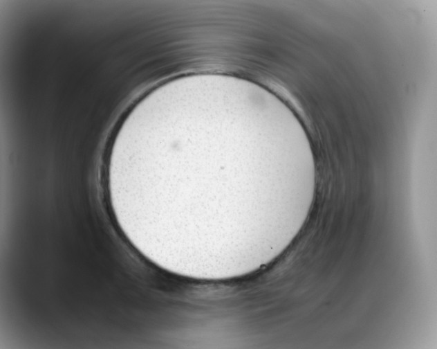 X0000088051091200706081624