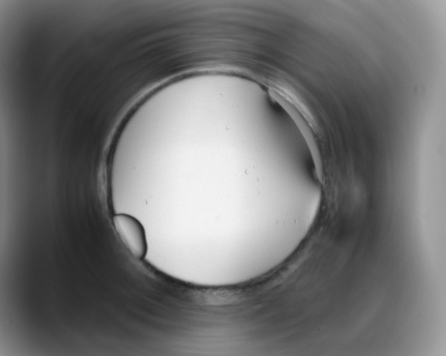 X0000088051092200706081624