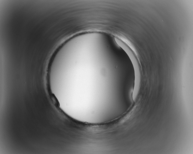 X0000088051093200706081624