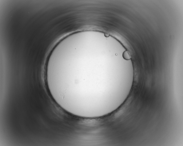 X0000088051094200706081624
