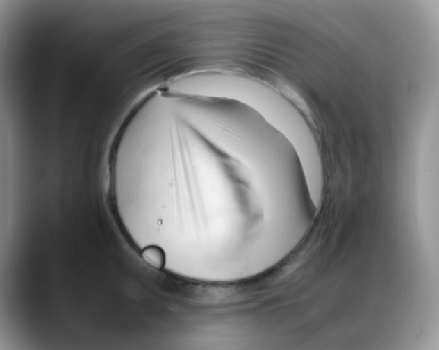 X0000088051095200706081624