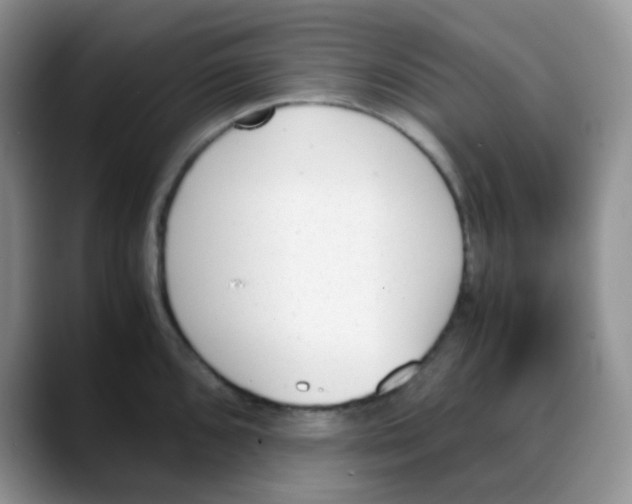 X0000088051096200706081624