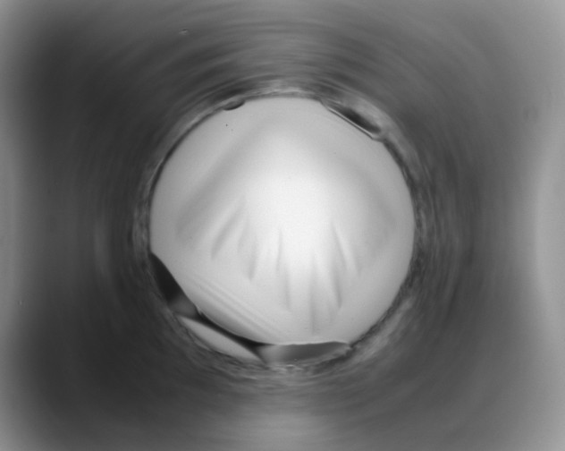 X0000088051097200706081624