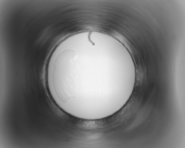 X0000088051098200706081624
