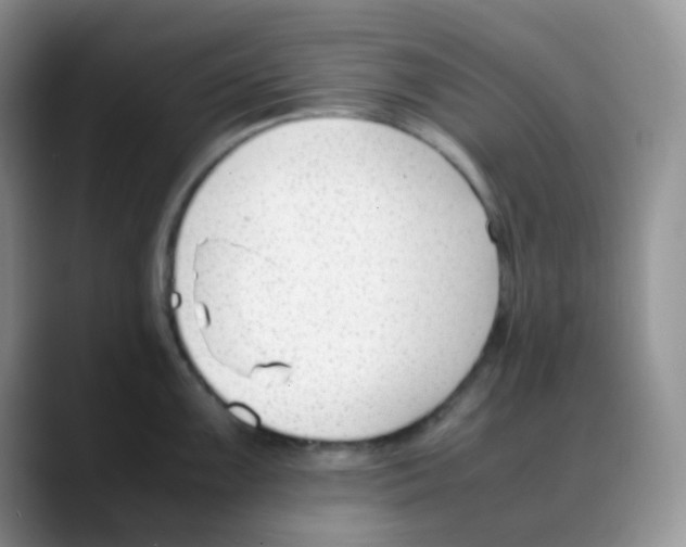 X0000088051099200706081624