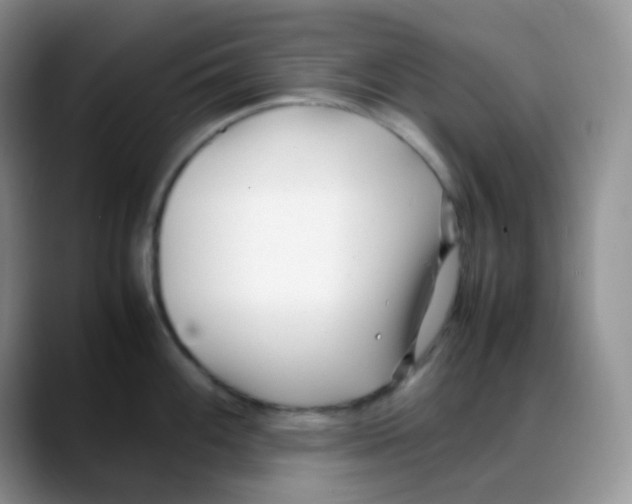 X0000088051100200706081624