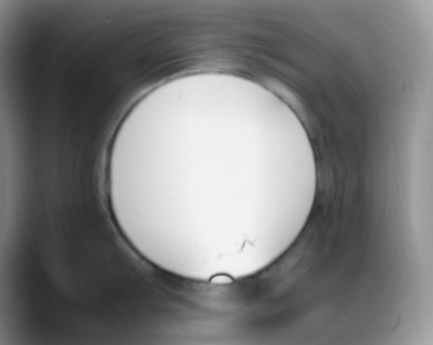 X0000088051103200706081624