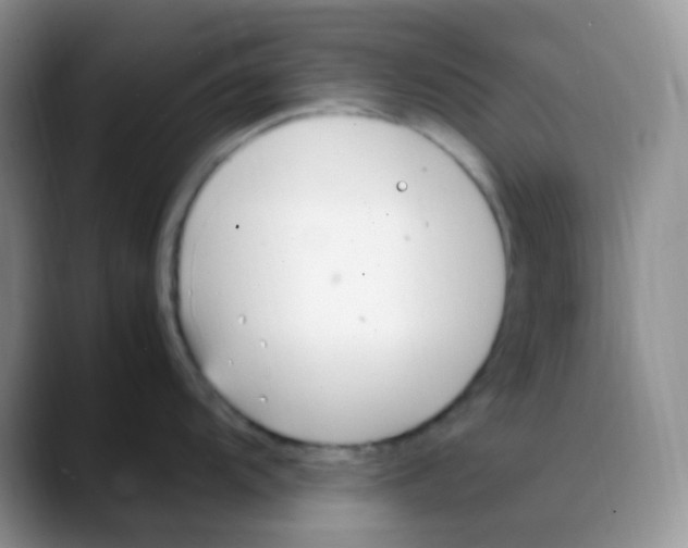 X0000088051104200706081624