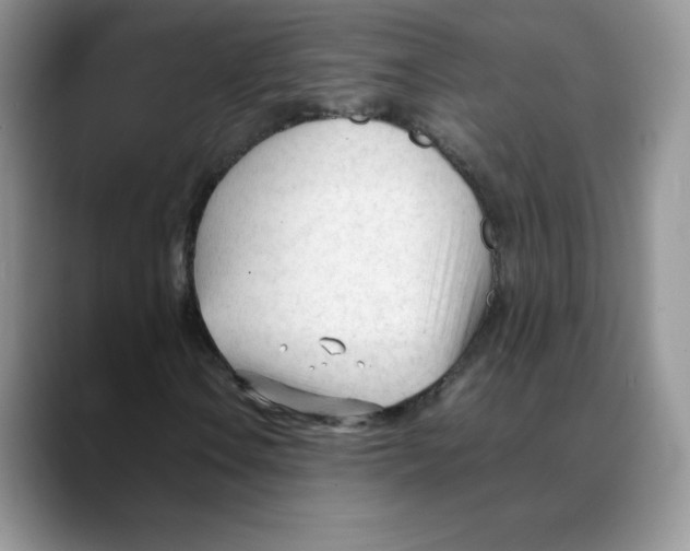 X0000088051106200706081624