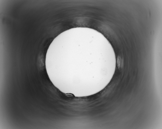 X0000088051107200706081624