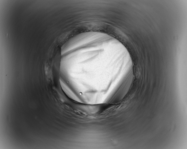 X0000088051108200706081624
