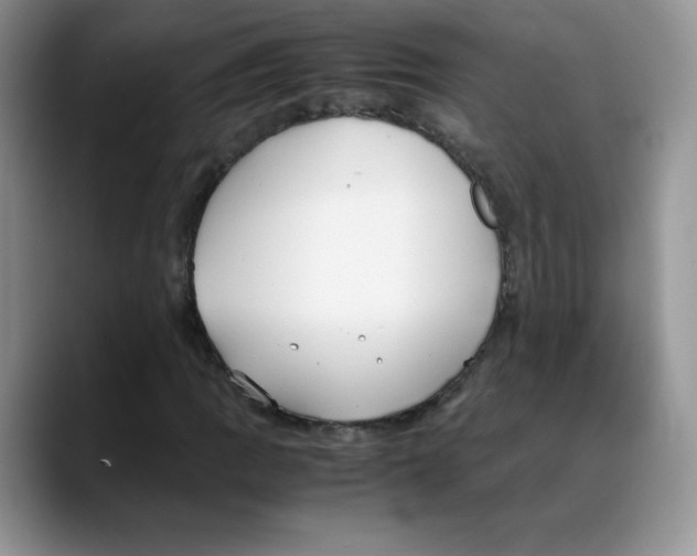 X0000088051109200706081624