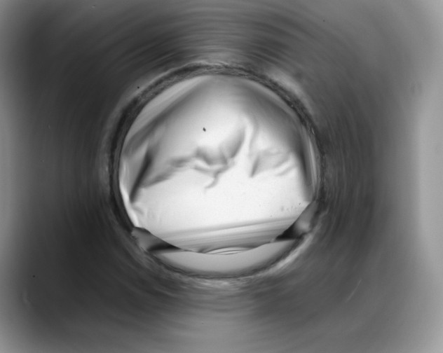 X0000088051114200706081624