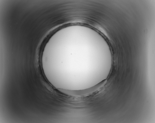 X0000088051116200706081624