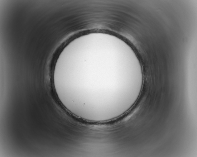 X0000088051118200706081624