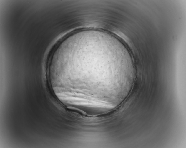 X0000088051120200706081624