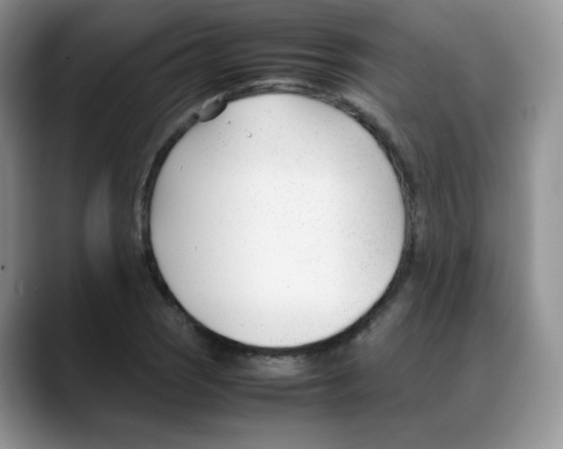 X0000088051121200706081624