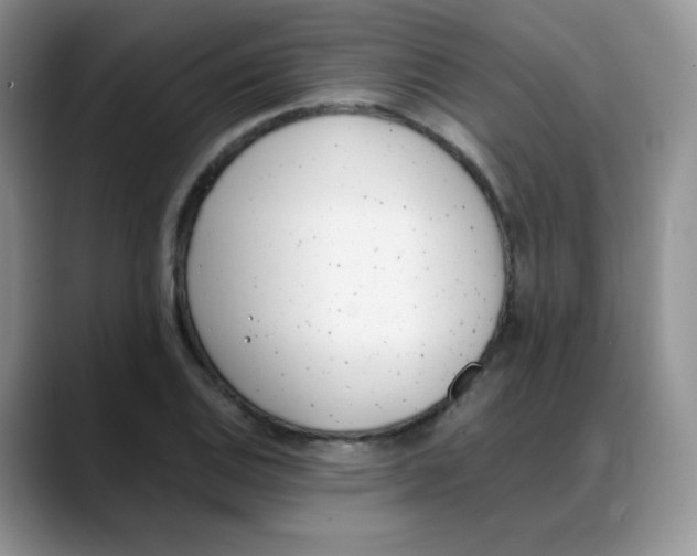 X0000088051124200706081624