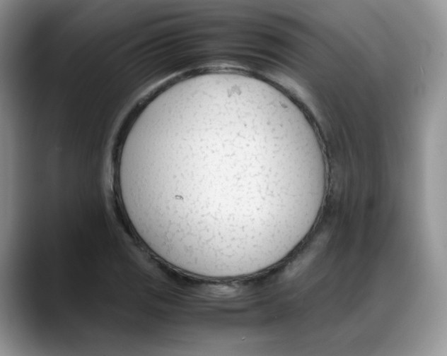 X0000088051125200706081624