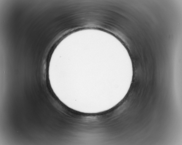 X0000088051126200706081624