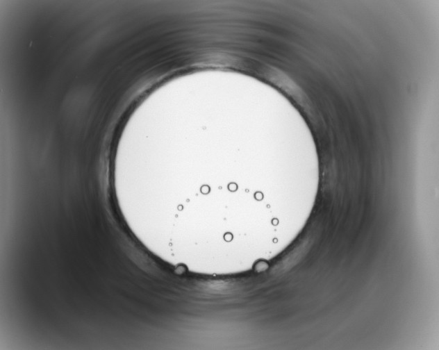 X0000088051130200706081624