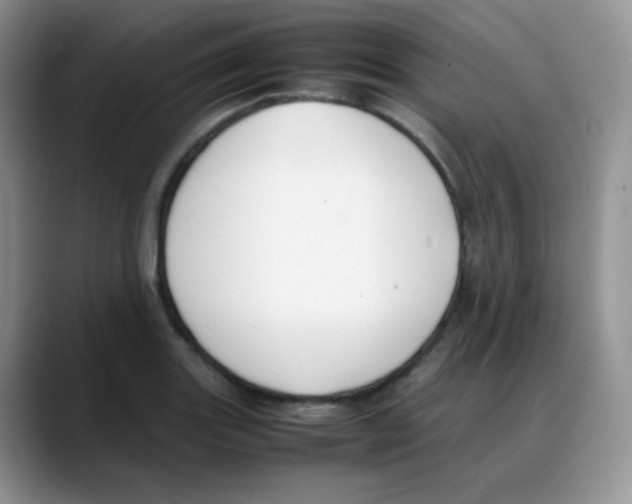 X0000088051131200706081624