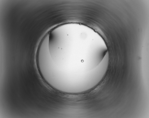 X0000088051132200706081624