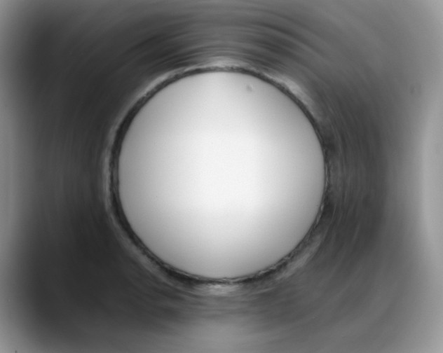 X0000088051134200706081624