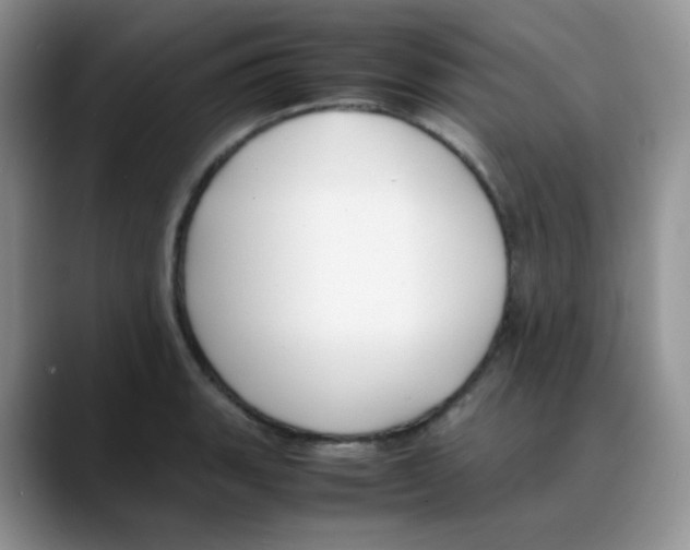 X0000088051135200706081624