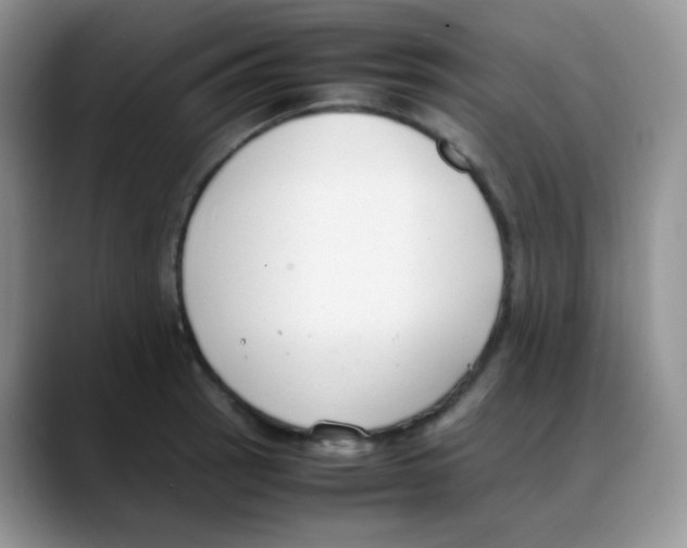 X0000088051137200706081624