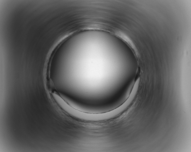 X0000088051138200706081624