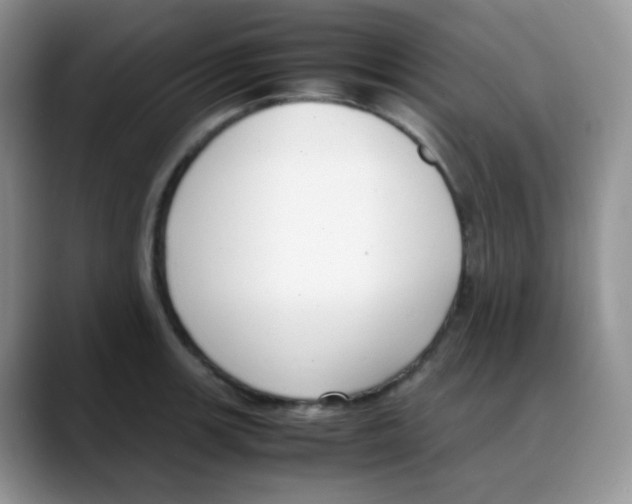 X0000088051139200706081624