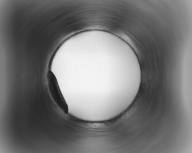 X0000088051140200706081624