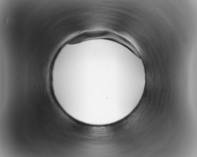 X0000088051142200706081624