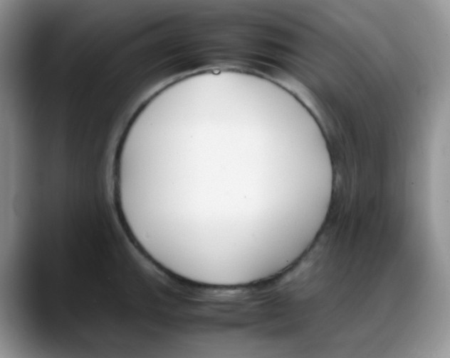 X0000088051143200706081624