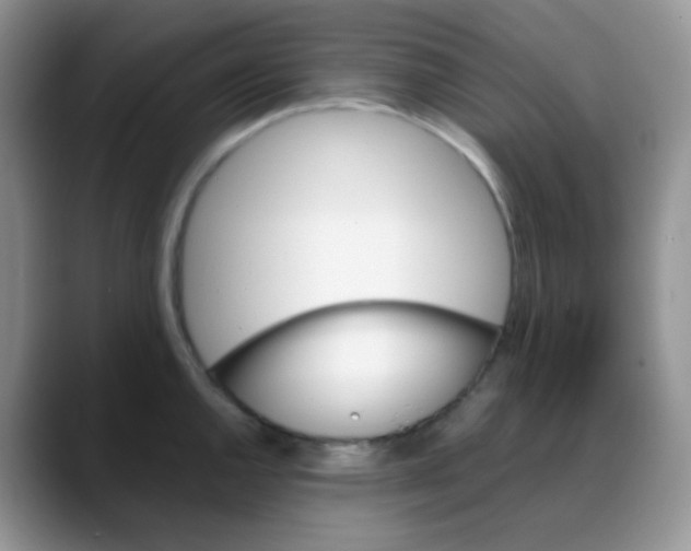 X0000088051144200706081624
