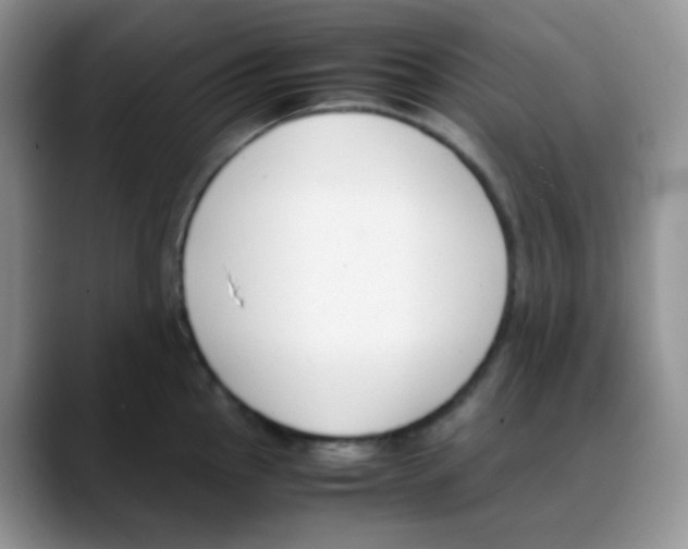X0000088051145200706081624