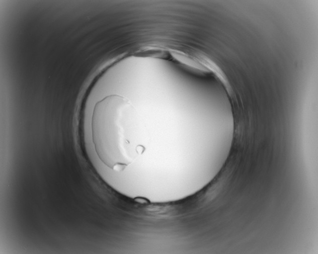 X0000088051146200706081624