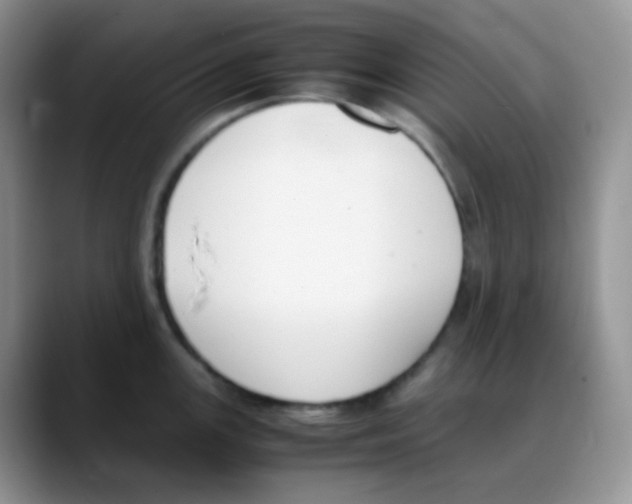 X0000088051147200706081624