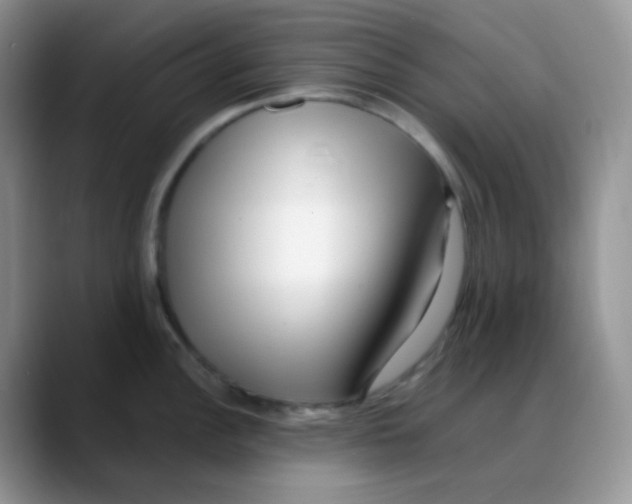 X0000088051148200706081624